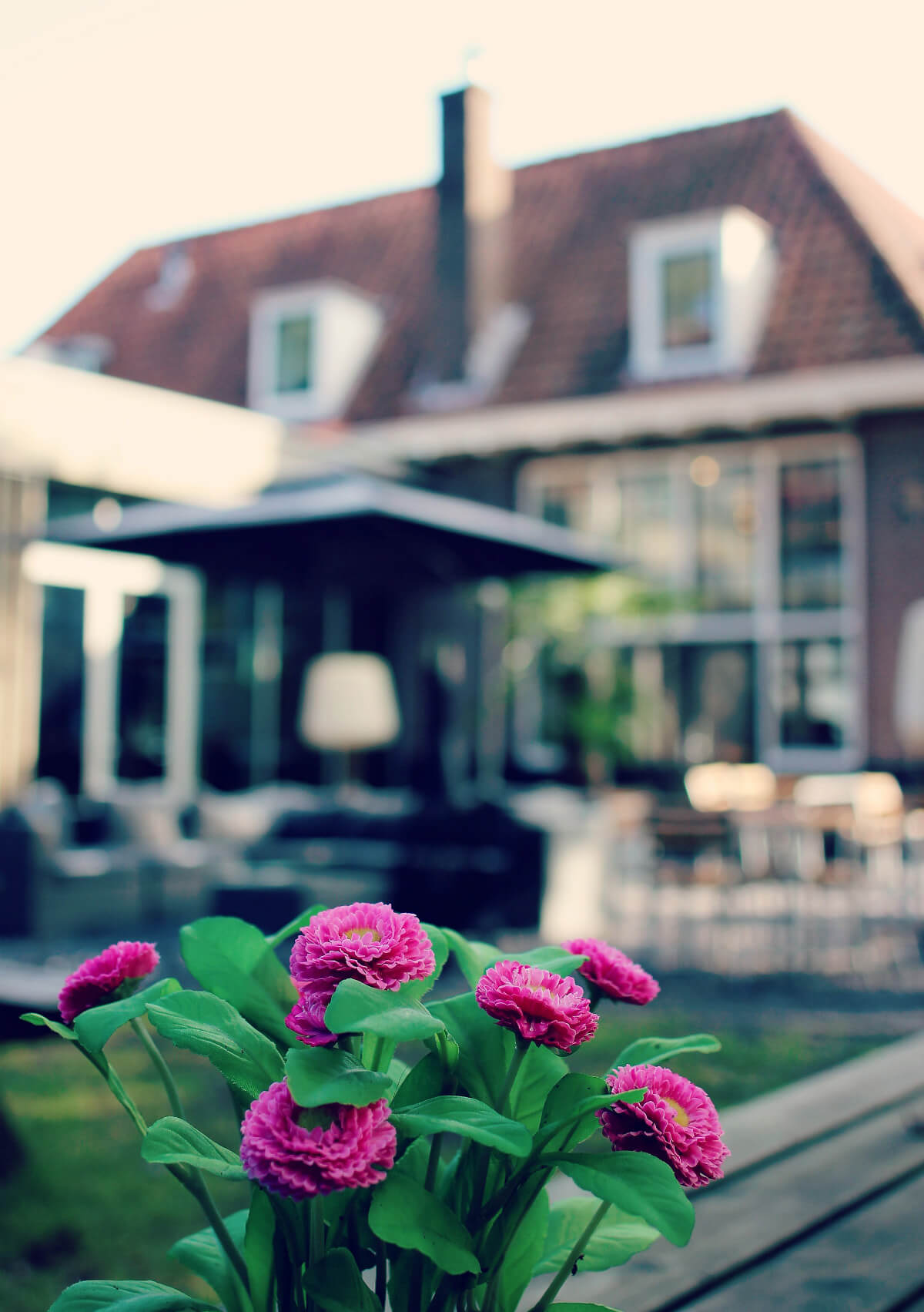 bloggerbynature-didie-fotografie-01