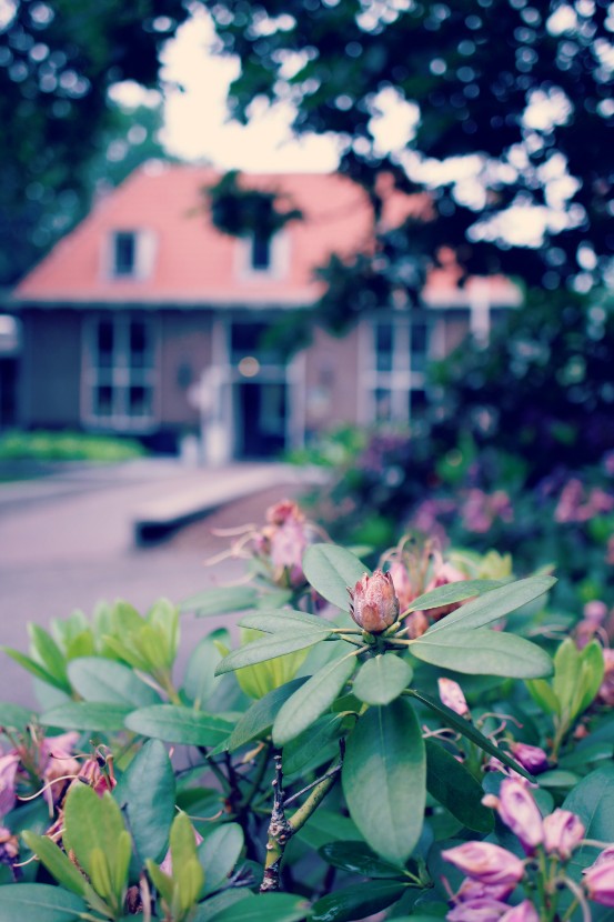 bloggerbynature_Didie_Fotografie