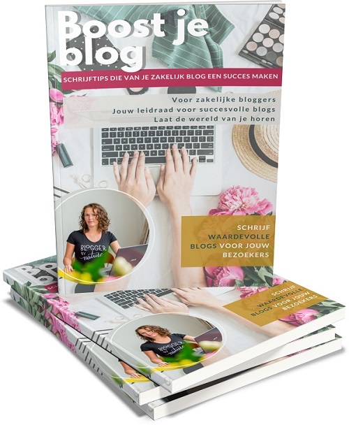 Schrijftips om van je blog een succes te maken gratis ebook