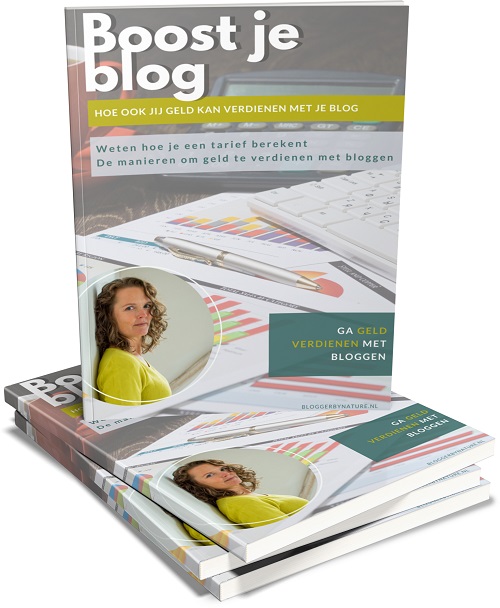 ebook-geld-verdienen-met-je-blog geld verdienen met je blog doe je zo
