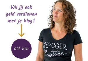 banner geld verdienen met je blog doe je zo