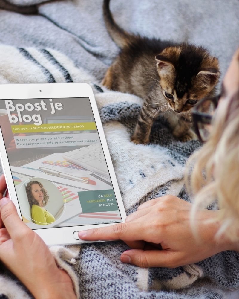 e-books voor bloggers en online ondernemers