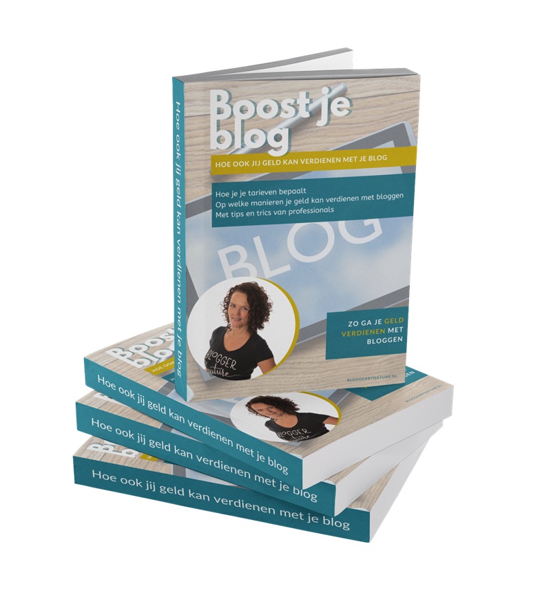 geld verdienen met je blog doe je zo e-book